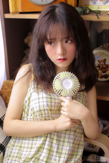 三朵金花电视剧全集